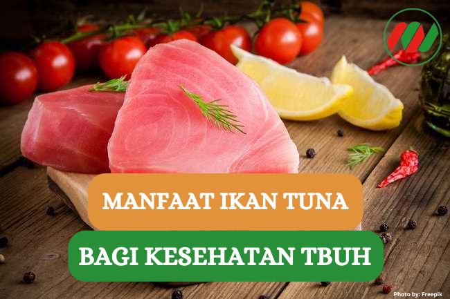 7 Manfaat Konsumsi Ikan Tuna Bagi Kesehatan Tubuh